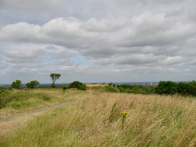 Looking North along Sedgley Beacon Tower (237m)