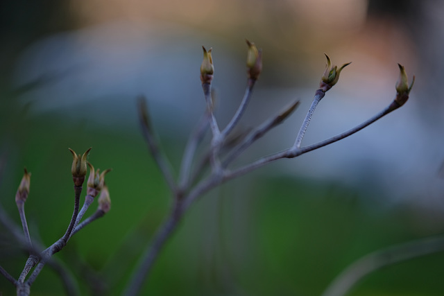 DSCF5417 DSCF5417