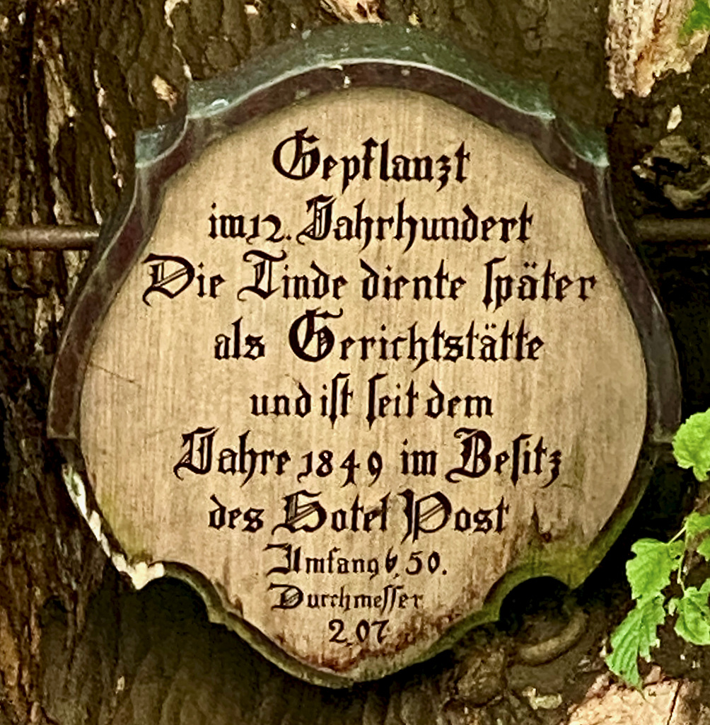 Alte Linde