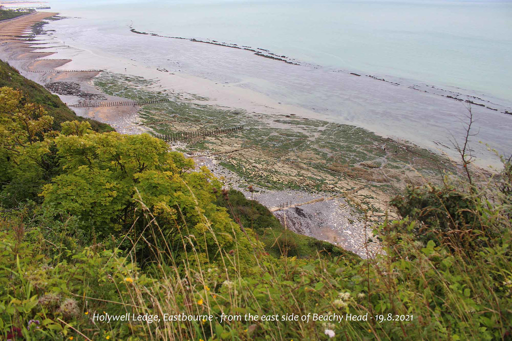 Holywell Ledge Eastbourne 19 8 2021