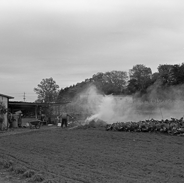 Cleaning the field