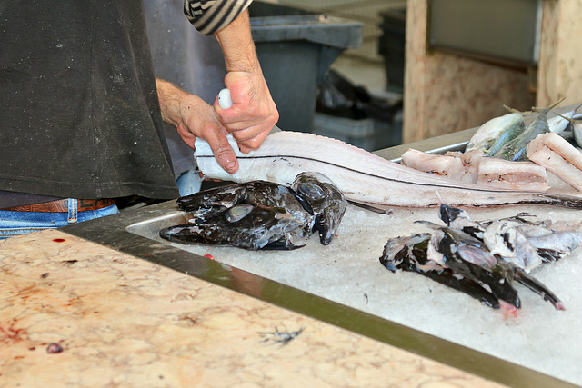 Funchal - Mercado dos Lavradores (04) - Schwarzer Degenfisch (02)