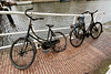 Bicycles from the black lagoon