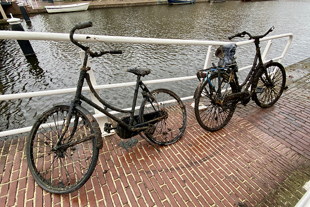 Bicycles from the black lagoon