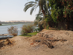 Auf einer Insel im Nil