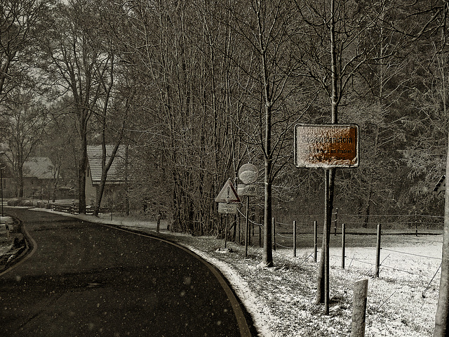 Wald, Benneckenstein