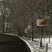 Wald, Benneckenstein