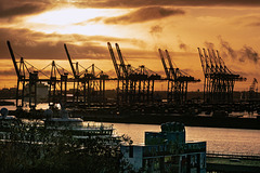 Morgendlicher Blick auf den Hafen - Hamburg