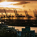 Morgendlicher Blick auf den Hafen - Hamburg