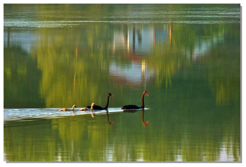 27 Promenade en famille...