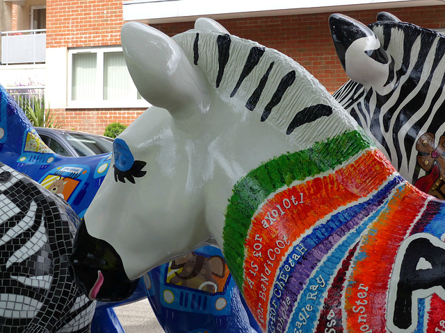 Zany Zebras On Parade_027 - 12 July 2016