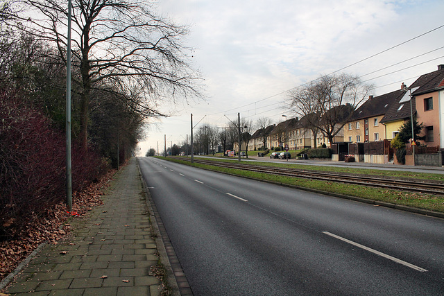 Castroper Hellweg (Bochum-Hiltrop) / 10.12.2016