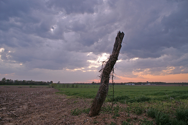 Old Fencepost