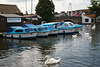 Day Boats And Swans On The Bure