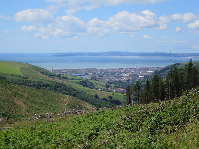 Swansea Bay View