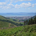 Swansea Bay View