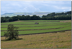 The barns and lines of Wensleydale