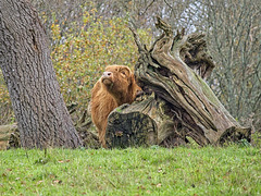 Scratching that Itch