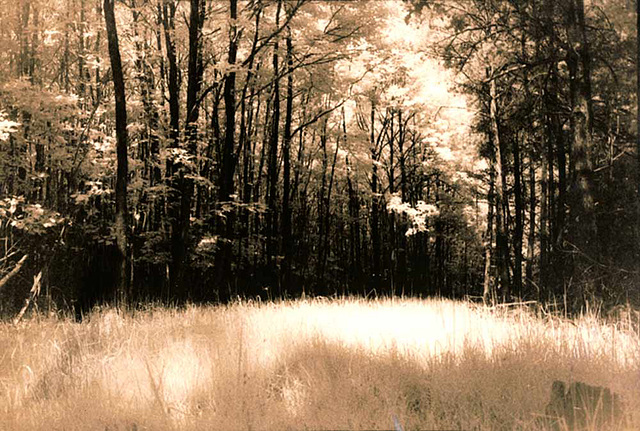 Königsberg - Finsterbrunner Tal