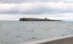 Inner Farne