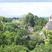 Ruïnes maies de Tikal-Guatemala