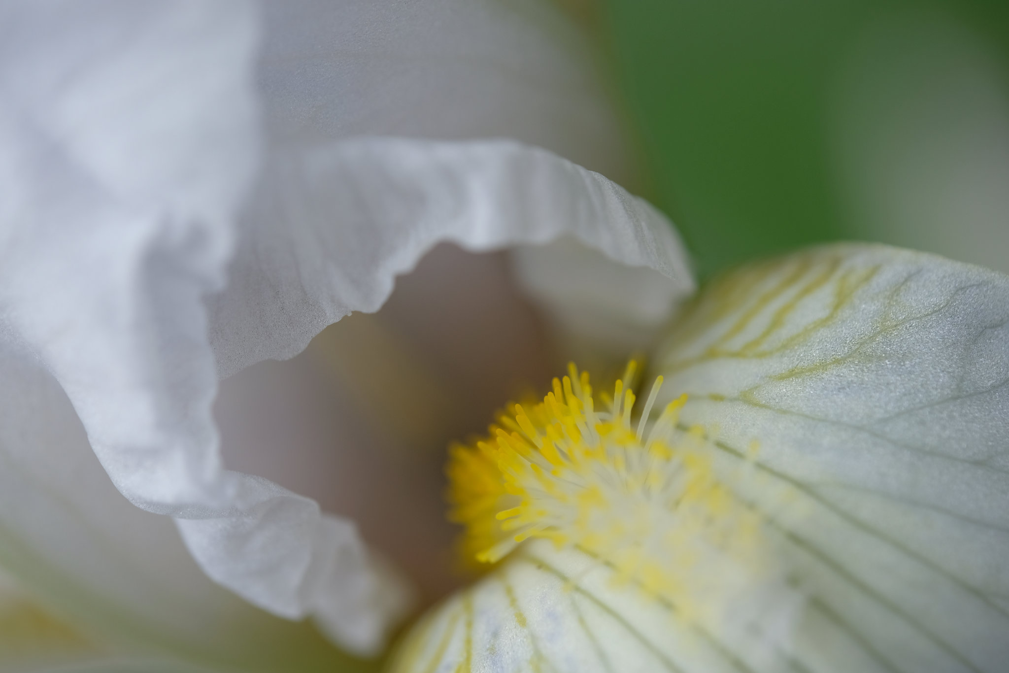 DSCF6072