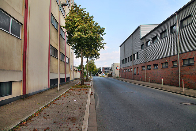 Am Stadthafen (Gelsenkirchen-Schalke) / 30.09.2023