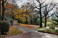 Herbstlicher Stadtpark Witten / 26.11.2023