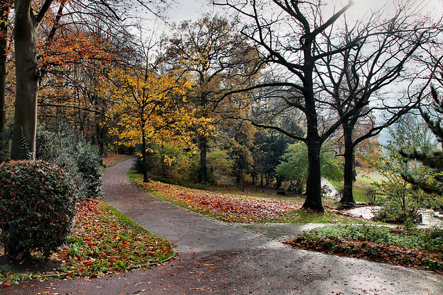 Herbstlicher Stadtpark Witten / 26.11.2023