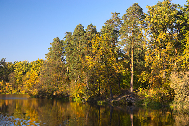 In Puschtscha-Wodyzja im Herbst