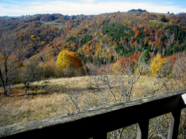 IMG 0177