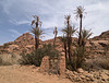 Ruines et oasis / Ruinen und oasen