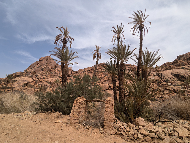 Ruines et oasis / Ruinen und oasen