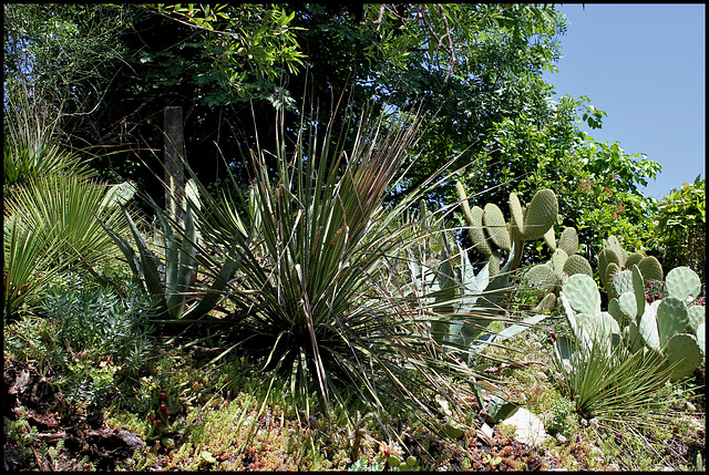 IMG 7082 (2)