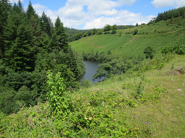 Cwm Wernderi Reservoir