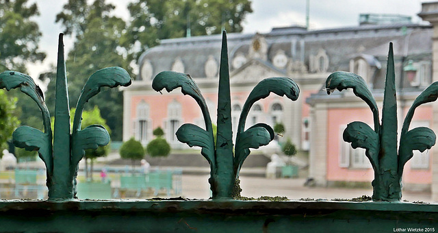 Schloss Benrath - Am Zaun...