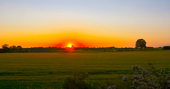 Gnosall sunset