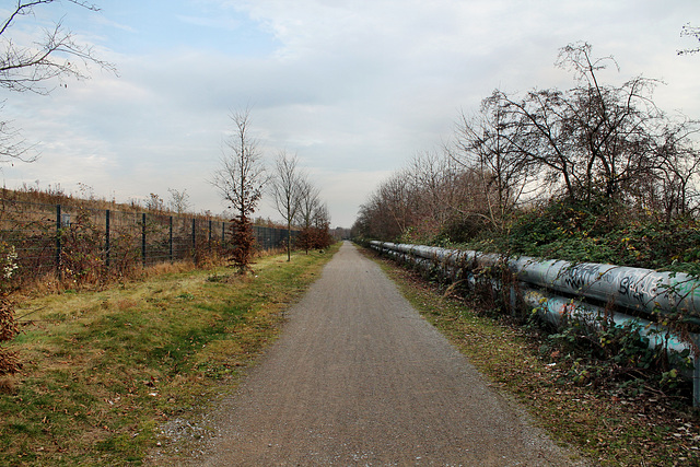 Trasse der ehem. Zechenbahn Lothringen (Bochum-Hiltrop) / 10.12.2016