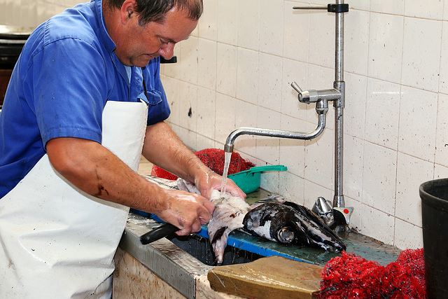 Funchal - Mercado dos Lavradores (10) - Schwarzer Degenfisch (05)