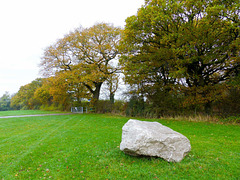 Autumn trees