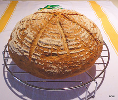 Dill and rosemary flavoured Banetton home-baked loaf,
