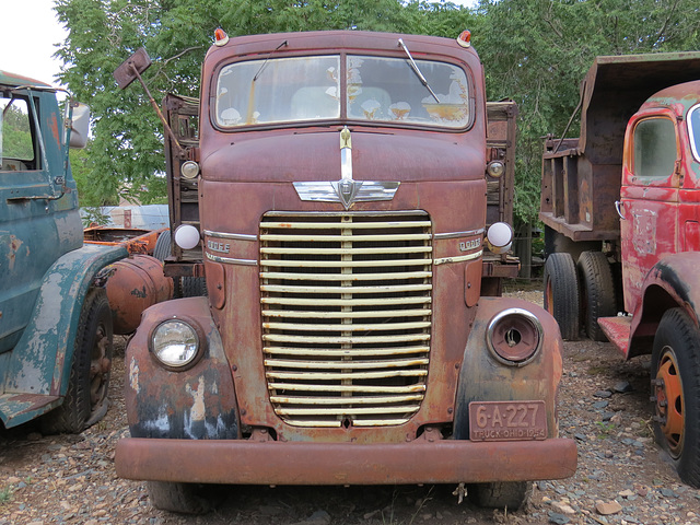 1942 Dodge COE (cab over engine) Truck