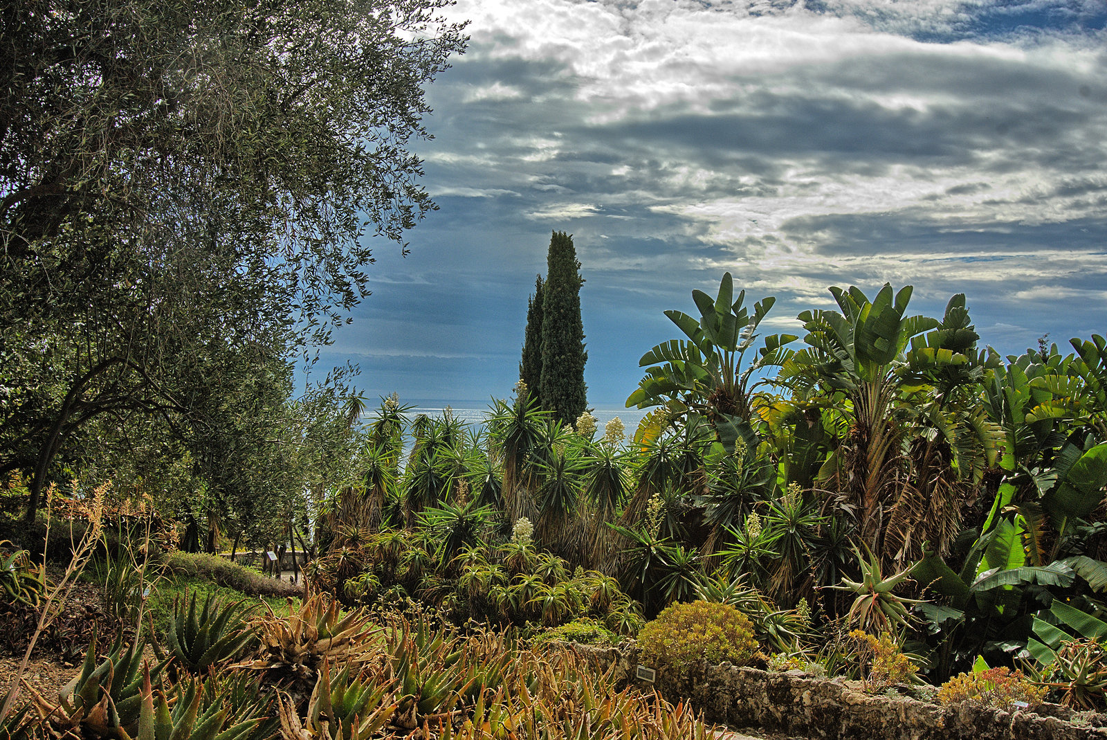 Hanbury Gardens