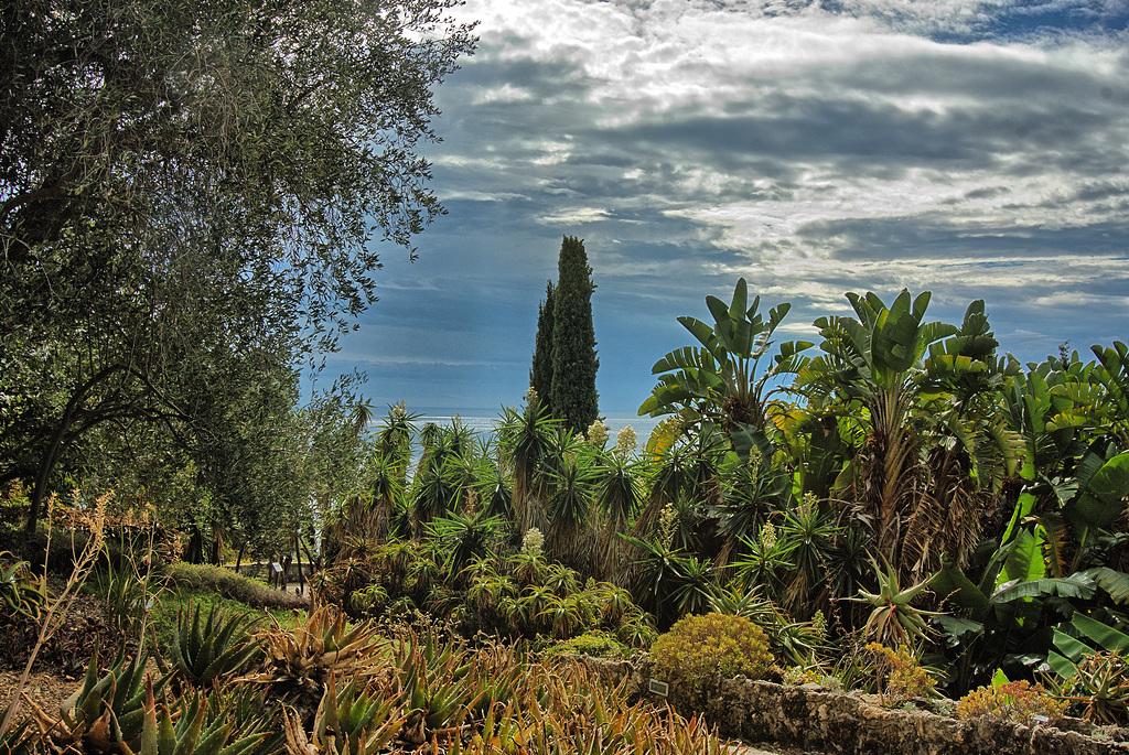 Hanbury Gardens