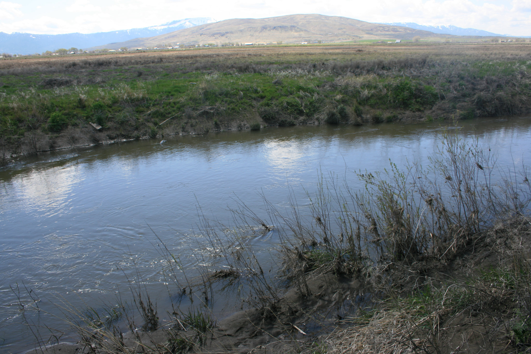 Hartson Slough close-up