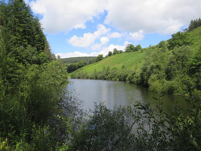 Cwm Wernderi Reservoir