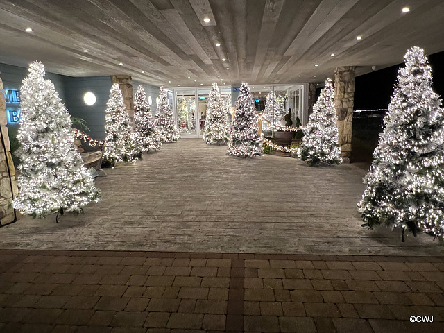 Can you have too many Christmas trees at your entrance? Duck Bay restaurant on Loch Lomond