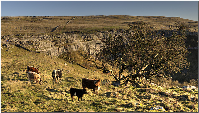 Malham Cove