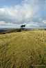Resting Hill