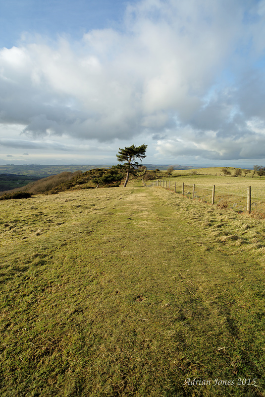 Resting Hill